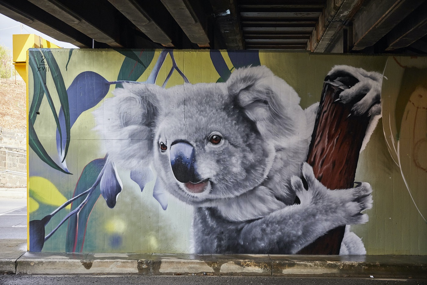 Seymour Viaduct Koala