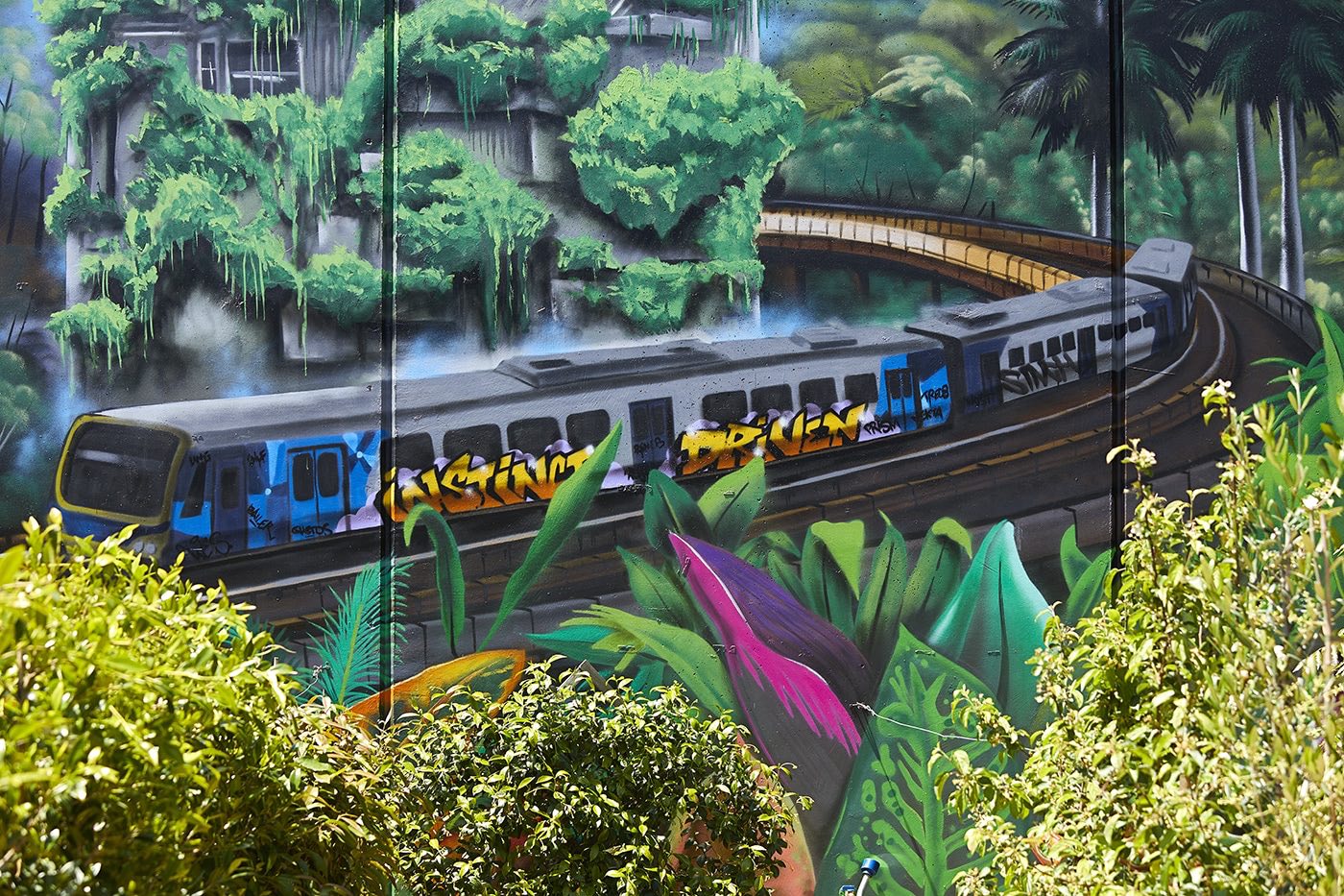 Close up of graffiti train