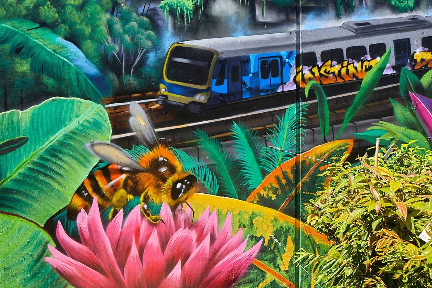 Close up of wildlife and train