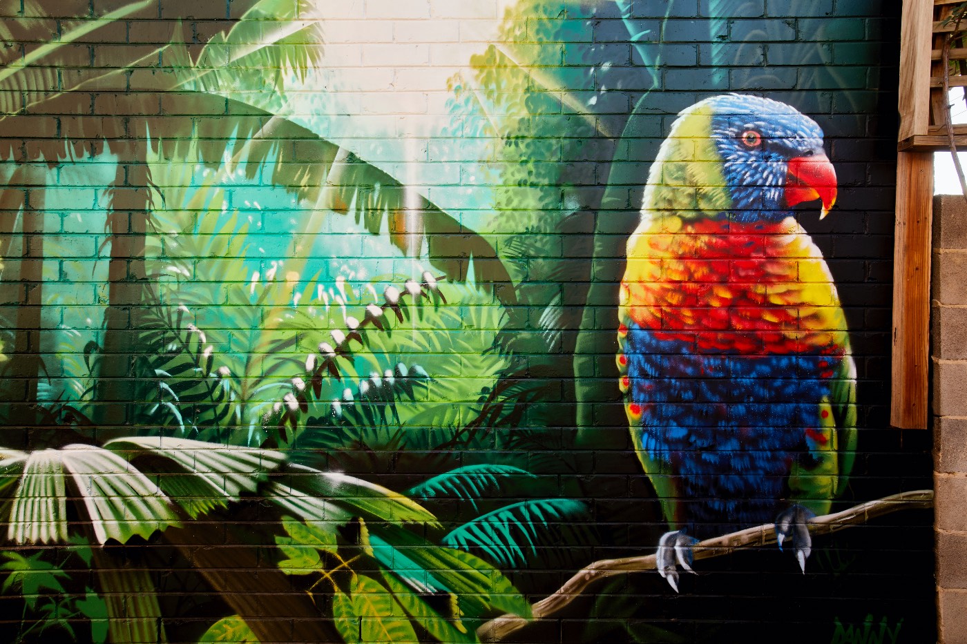 South Melbourne Lorikeet mural