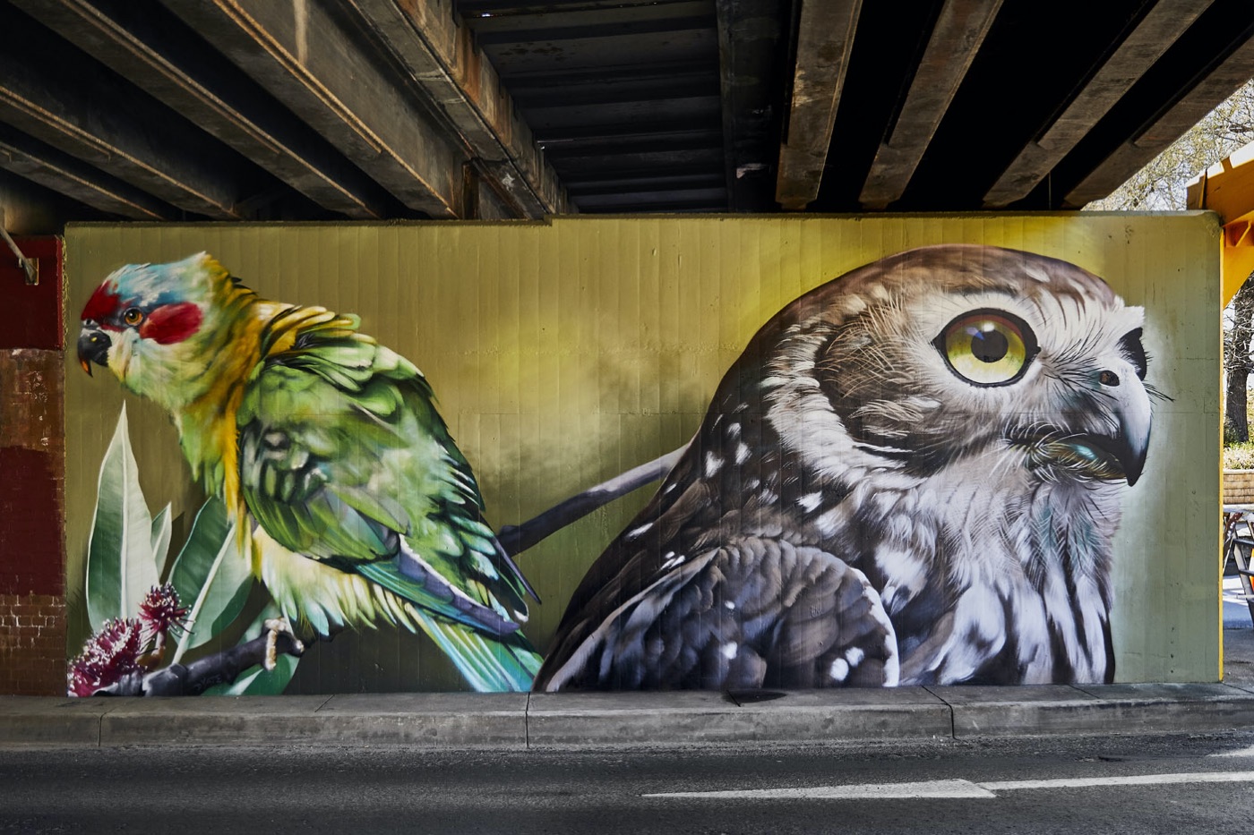 Seymour Viaduct owl completed