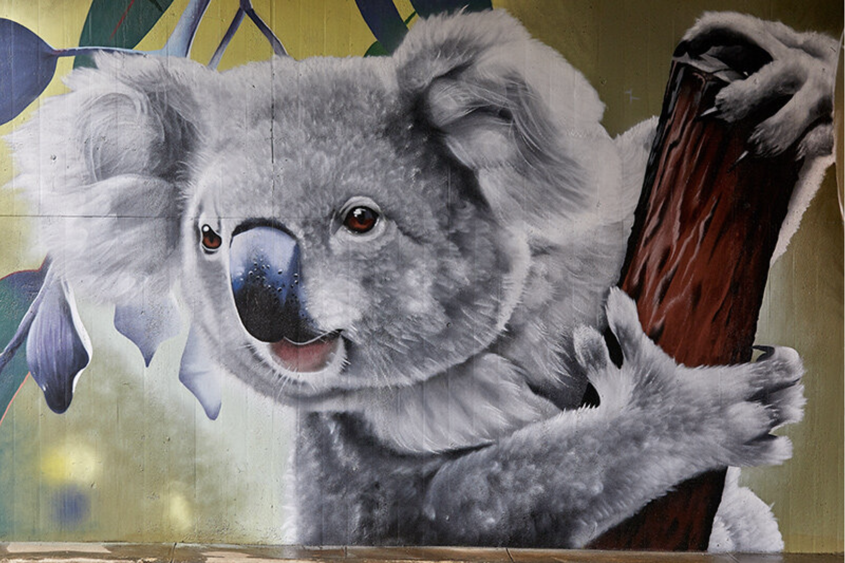 Koala print - 90 Degrees