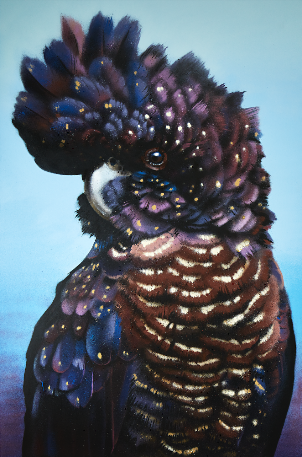 Black Cockatoo blue background print